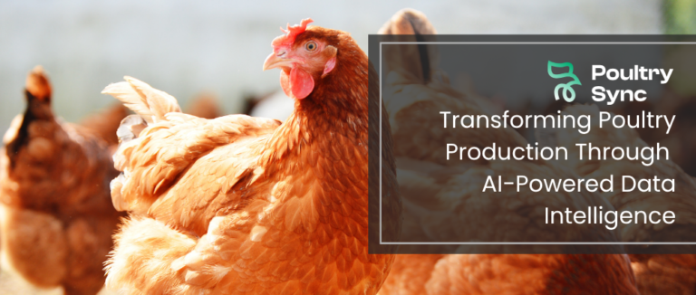 PoultrySync: Transforming Poultry Production Through AI-Powered Data Intelligence